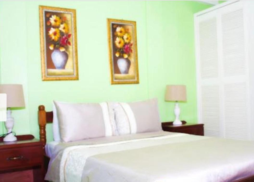 Silver View Apartments St. George's 外观 照片